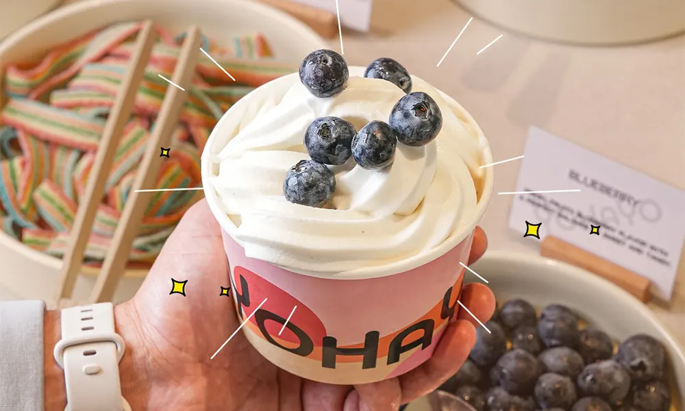 coconut yogurt