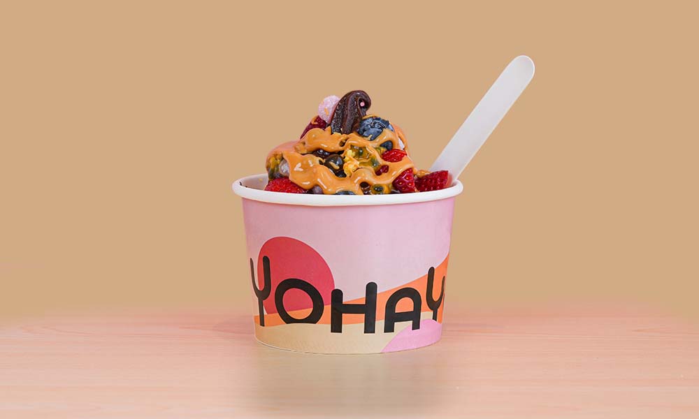 frozen yoghurt elsternwick