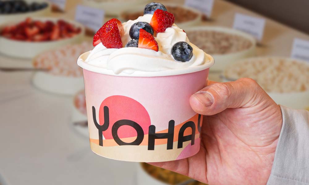frozen yogurt